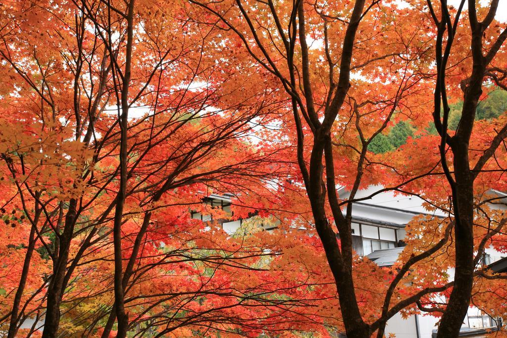 Nukumorino-Yado Komanoyu Кисо Экстерьер фото